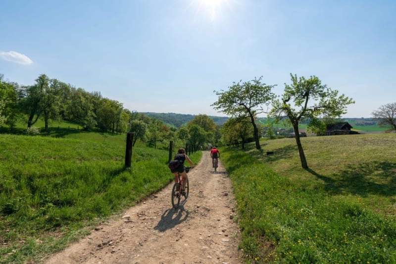 Evasion cycliste mythique à Saou et sa forêt - Saou