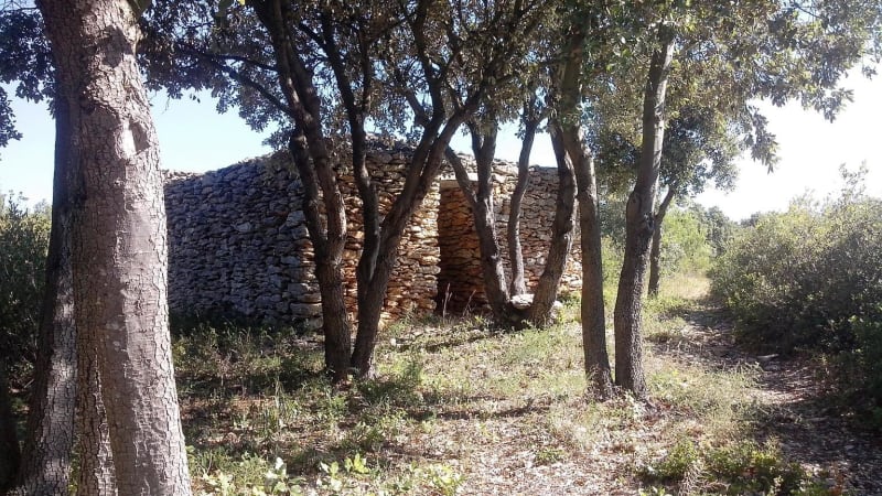 S'attarder devant les capitelles de Conques-sur-Orbiel et rêver - Conques-sur-Orbiel