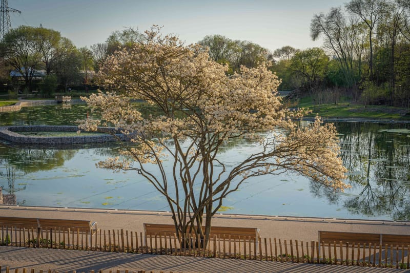 Berges d'Epinay-sur-Seine et Parc des Chanteraines à vélo - Épinay-sur-Seine
