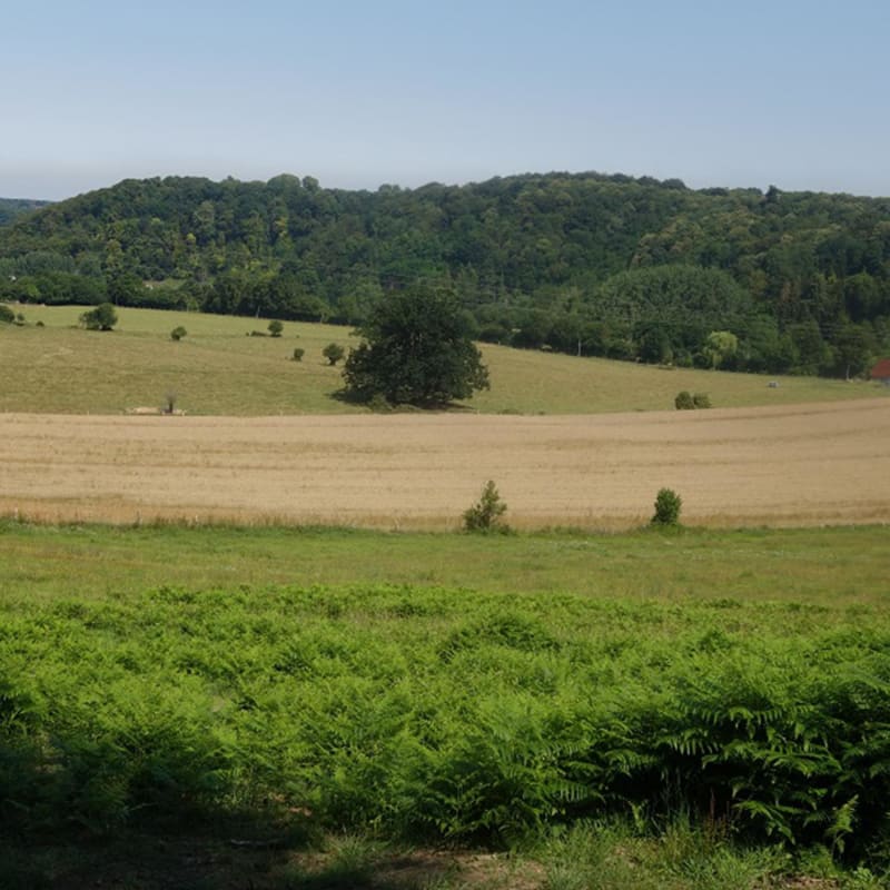 Sentier des moissonneurs - Saint-Pierre-du-Val