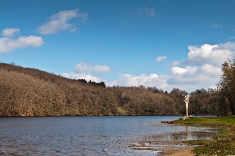 Vue plongeante sur la vallée de la Maulde et épaisse forêt - Bujaleuf