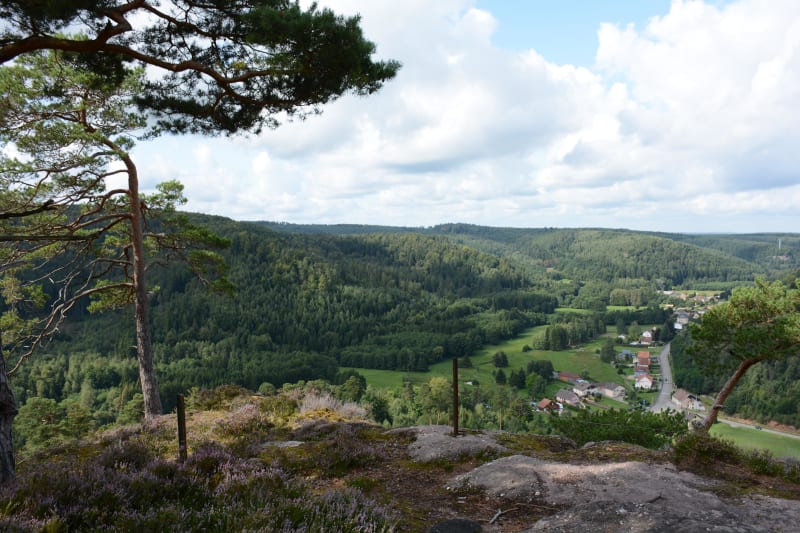 Balade à travers les bois et plongée entre les deux vallées - Hartzviller