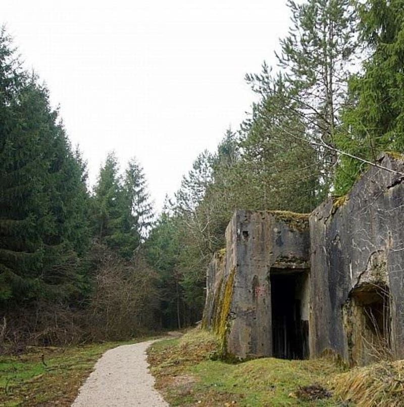 Sentier de Froideterre et résurrection forestière - Bras-sur-Meuse