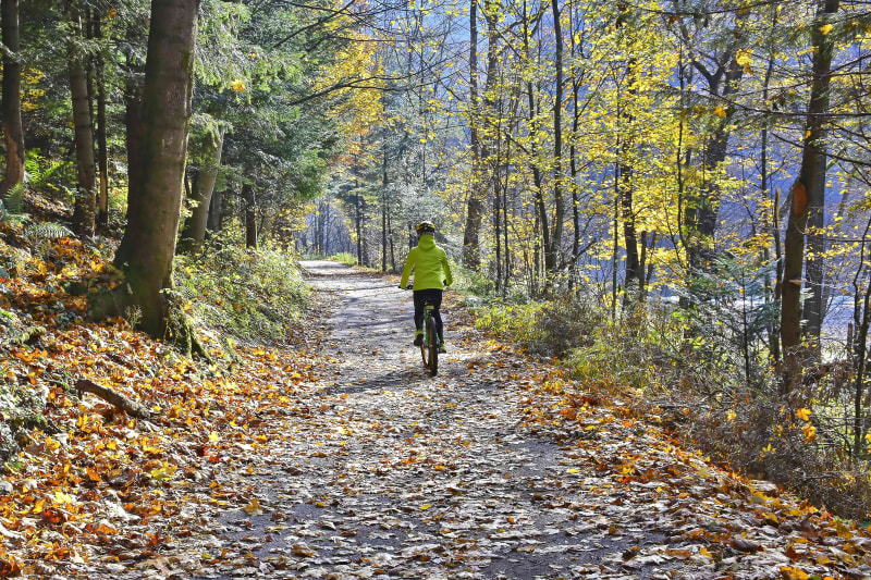 Bain de fraicheur à VTT dans les alentours de Cruseilles - Cruseilles