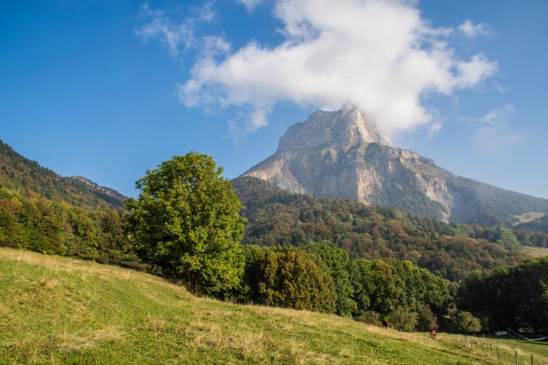 Crolles et ses bestioles, des vieilles pierres et le nez en l'air - Crolles