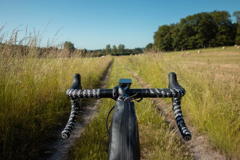 De Bures à Saint-Rémy, la nature se dévoile - Bures-sur-Yvette