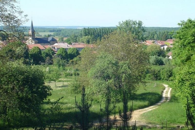 Sentier des Forgettes et " Vergers pour demain " - Halles-sous-les-Côtes