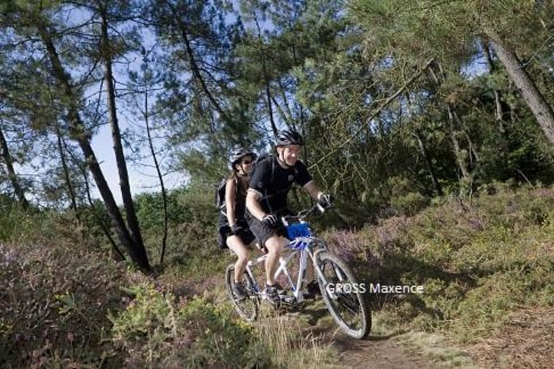 MOELAN - VTT 58 - SITE VTT FFC - Moëlan-sur-Mer