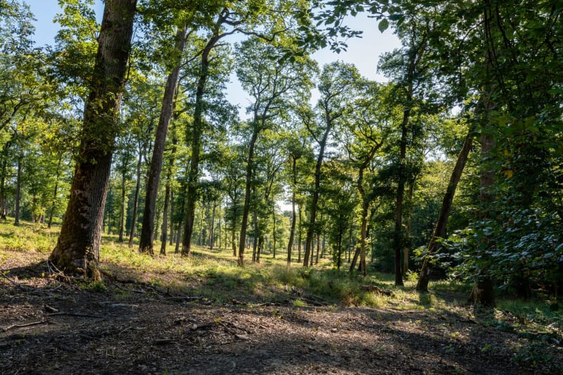Ottonville et crapahuter dans une nature mosellane complice - Ottonville