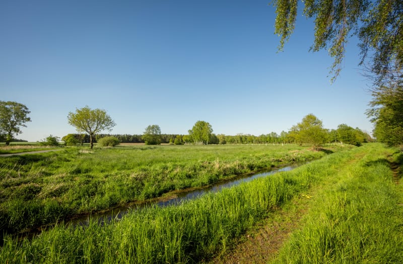 Escapade au milieu des marais, entre Nord et Pas-de-Calais - Palluel