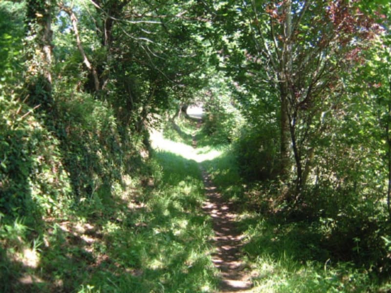 QUERRIEN VTT 28 SITE VTT FFC - Querrien