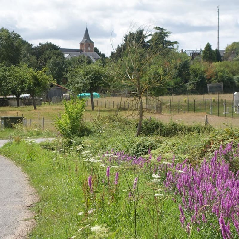 Sentier du hameau et des marais - Conteville