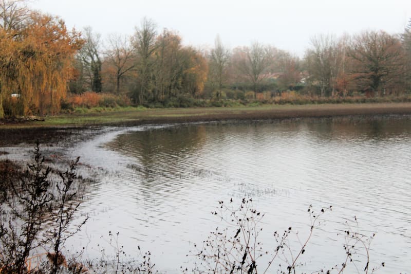 Vite, prendre le temps de se faire plaisir à l'étang Vernange - Saint-Jean-de-Thurigneux