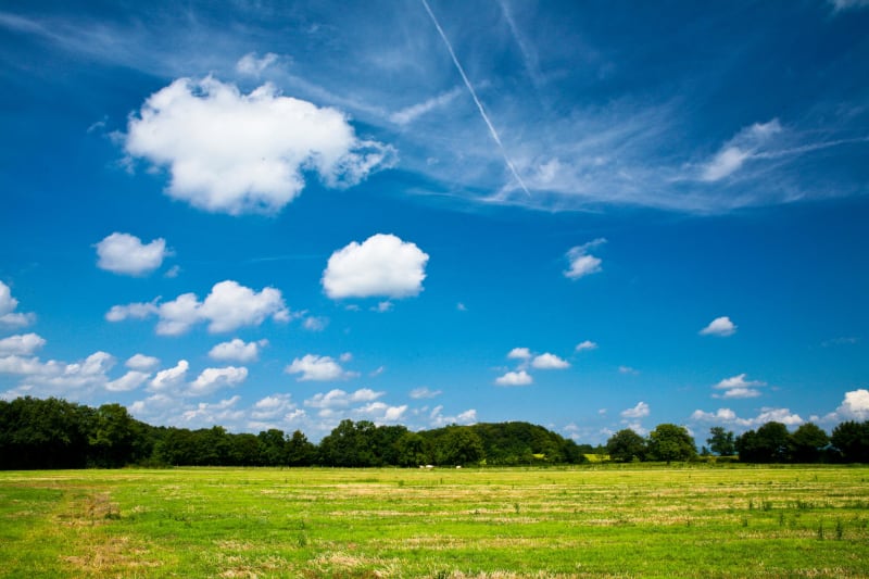 Flâner à Reyrieux et ne faire qu'un avec Dame Nature - Reyrieux