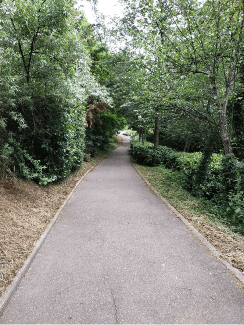 Parc Henri Fabre et écrin de verdure à Évry-Courcouronnes - Cours Blaise Pascal, Évry-Courcouronnes