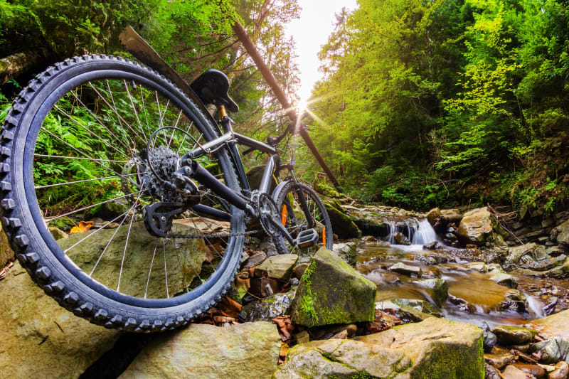 A VTT à travers la forêt de Cardeilhac et jolies rencontres - Cardeilhac
