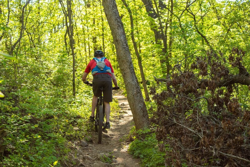 Richesse de la forêt et bout de voie romaine à VTT - Cardeilhac