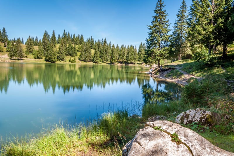 Bijou naturel du lac Bénit et faune aux mille visages - Mont-Saxonnex