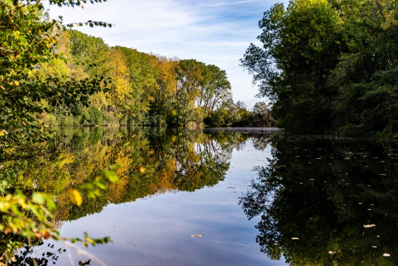 Boucle paisible au bord de l'eau depuis Flavigny-sur-Moselle - Flavigny-sur-Moselle