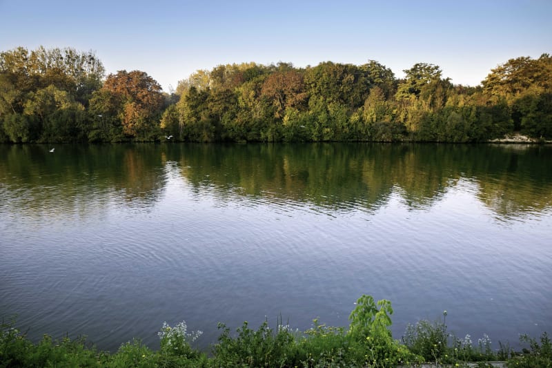 Etangs, bord de l'Oise et orchidées sauvages à Maurecourt - Maurecourt