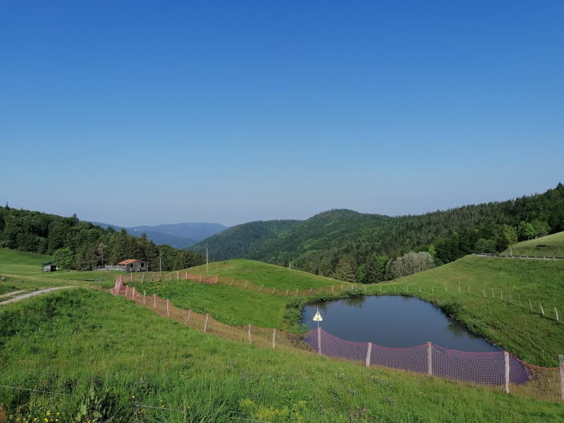 Jouer à "La petite maison dans la prairie" au lac des Perches - Saint-Maurice-sur-Moselle