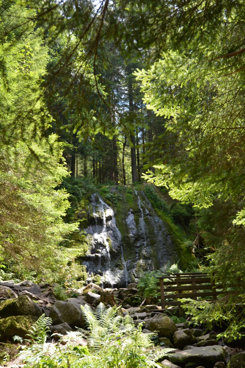 Cascade de la Pissoire et histoires incroyables au Haut du Tôt - Vagney