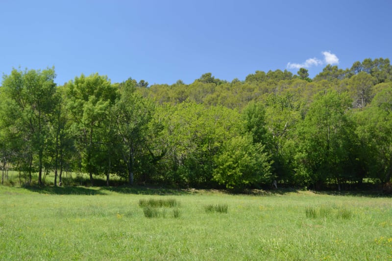 Faune riche à Mondrepuis et bocages des Hauts-de-France - Mondrepuis