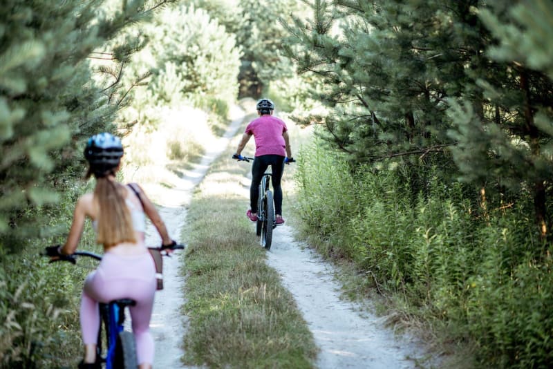 Nature et air forestier à vélo autour de Nivolas-Vermelle - Nivolas-Vermelle