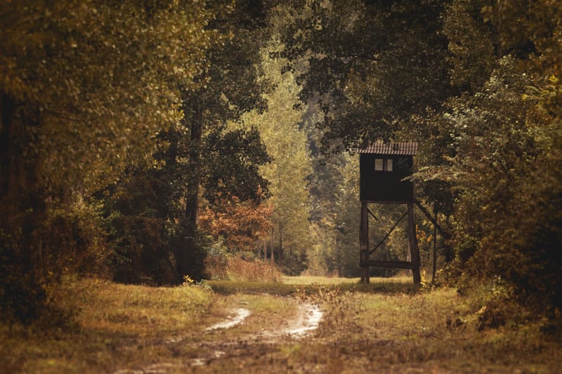 Au domaine des sangliers et forêts de chênes à VTT - Murles