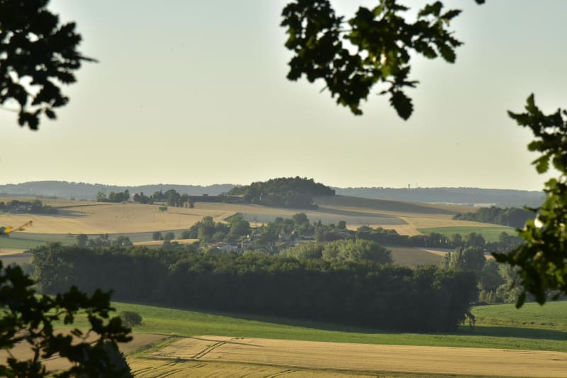 Tamniès et l'observation des oiseaux de la campagne - Tamniès
