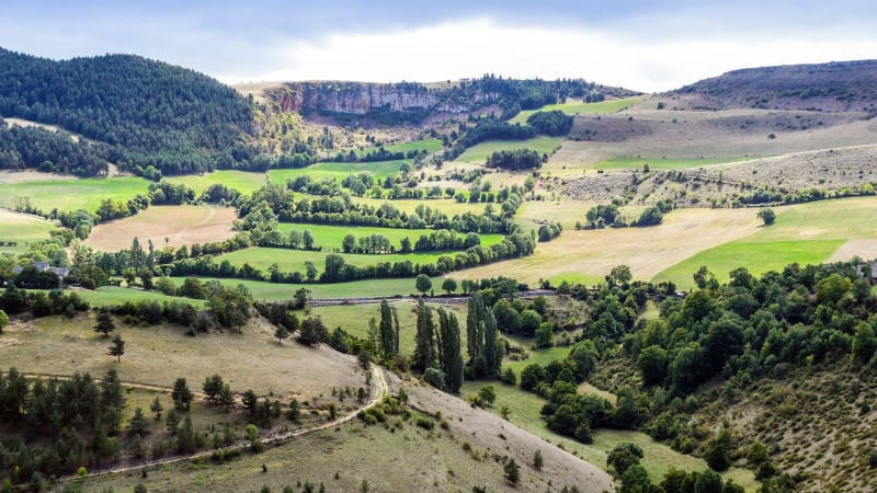 Ronde van het Mende-bos en de Lot-vallei in Lozère - Mont-Lozère-et-Goulet