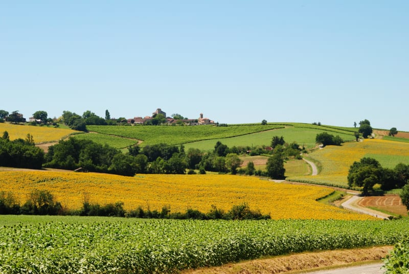 Escapade à VTT à Montfort et clé des champs dans le Gers - Monfort