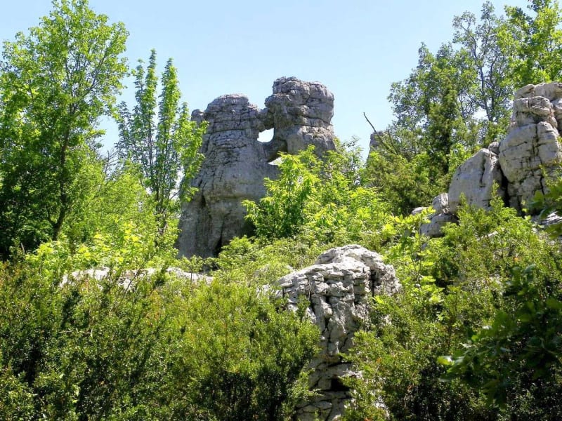 Berrias-et-Casteljau et la découverte du bois de Païolive - Berrias-et-Casteljau