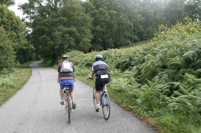 Courtry à VTT et ses sentiers dans la forêt de Claye-Souilly - Courtry