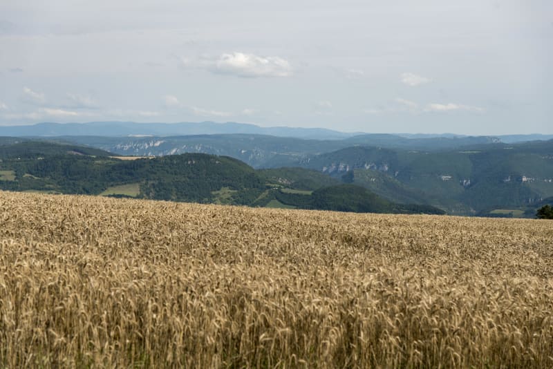 Novis et panorama "waouh" sur le pays des Grands Causses - Sévérac-d'Aveyron