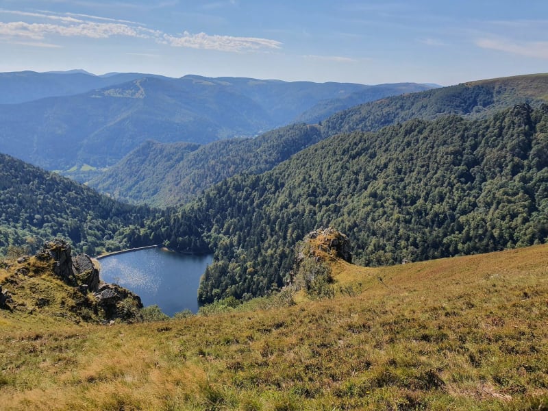 Trek au cœur des Ballons des Vosges et beauté des forêts - La Bresse