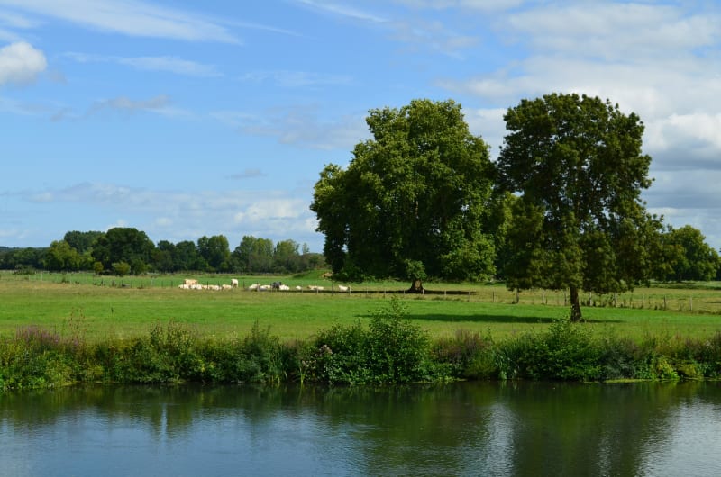 Cré-sur-Loir et balade apaisante dans un cadre bucolique - Cré-sur-Loir