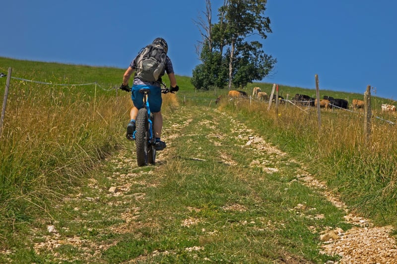 Balade VTT de la Save à La Gesse et ses sentiers champêtres - L'Isle-en-Dodon