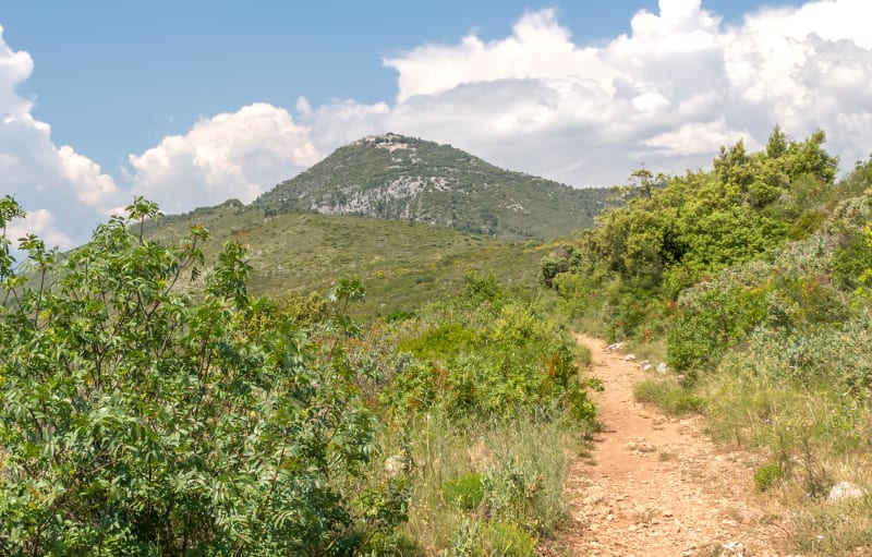 Mont Chauve et vues à couper le souffle à VTT - Falicon