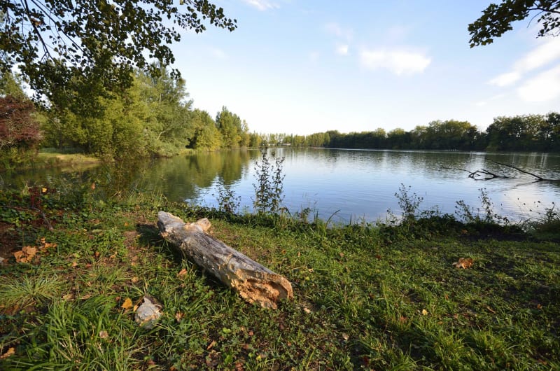 Tour du lac de la Thésauque et virée haut-garonnaise à vélo - Nailloux