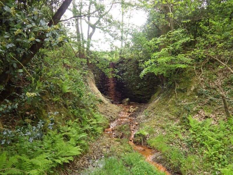 Excursion exquise entre amis le long du Viaur - La Salvetat-Peyralès