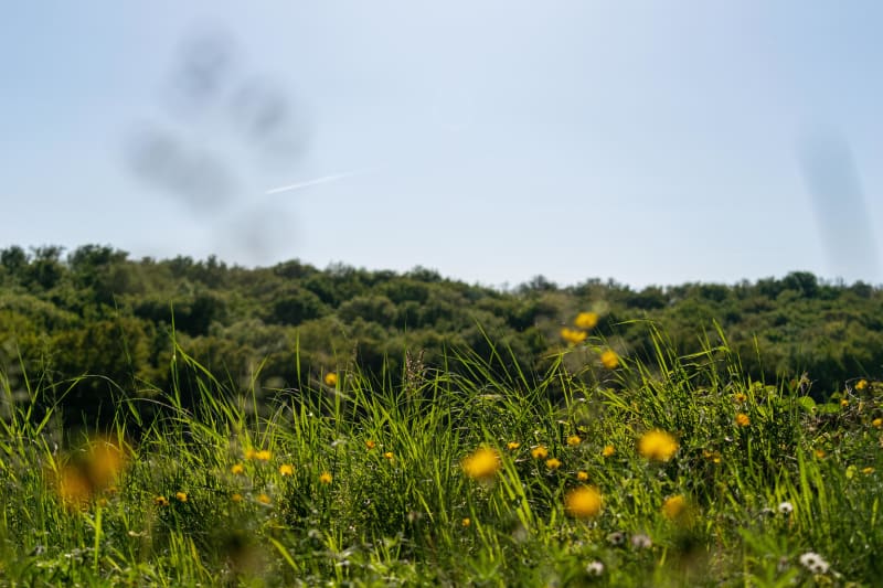 Rieumes et virée à VTT dans deux forêts et le cul de l'Espérès - Rieumes