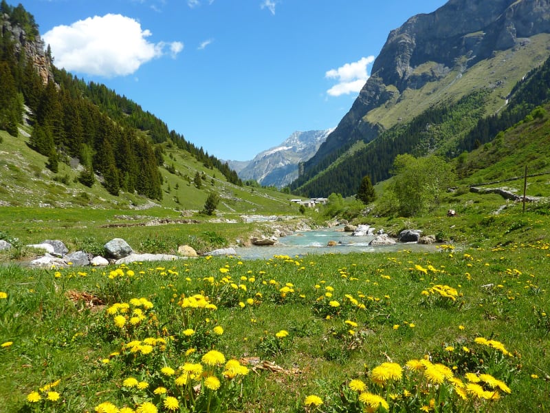 Wandeling naar Prioux - Pralognan-la-Vanoise
