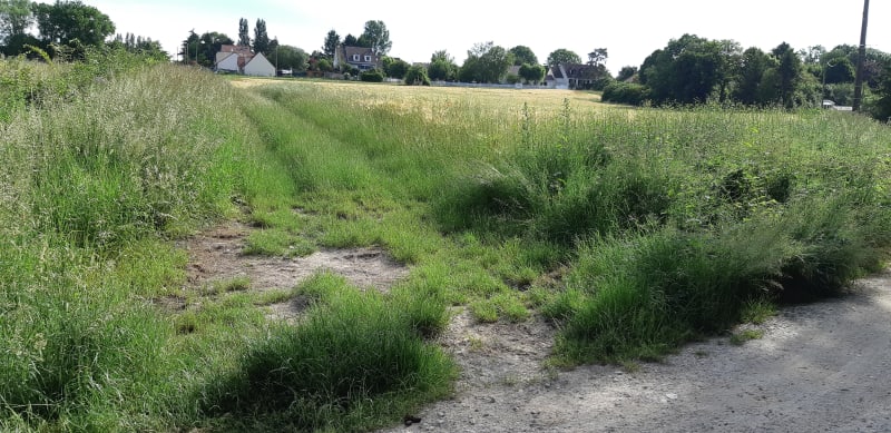 Rando VTT dans le pays Briard et zénitude campagnarde - Courpalay