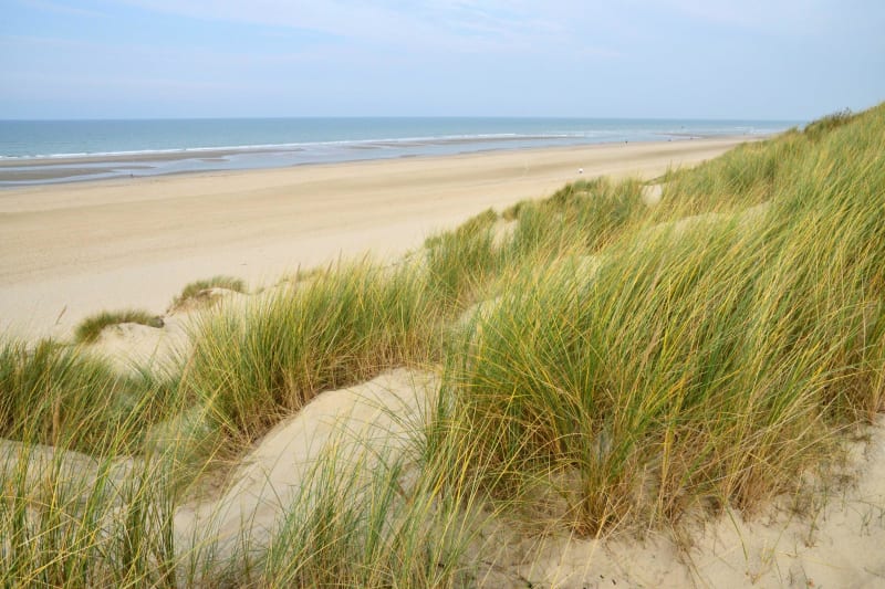 Détente depuis Cucq et au bord de la Manche par le GR® 120 - Stella-Plage, Cucq