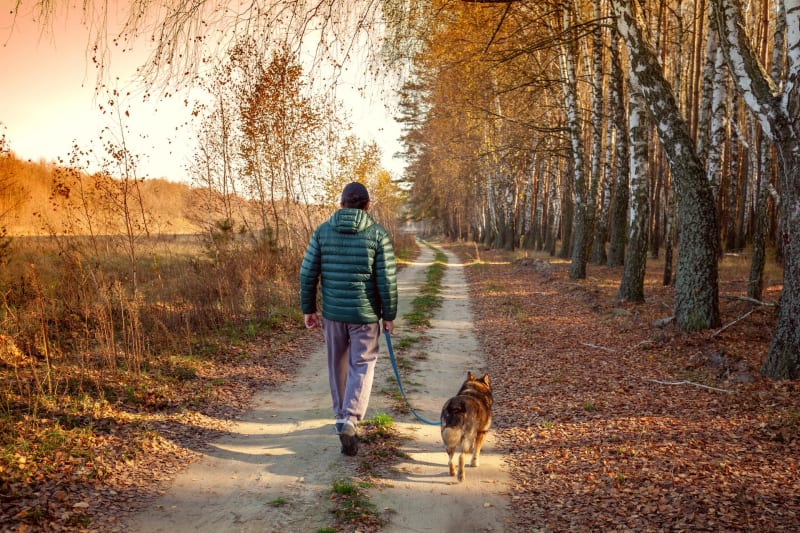Parcours santé d'Étival-Clairefontaine et calme de la forêt - Étival-Clairefontaine