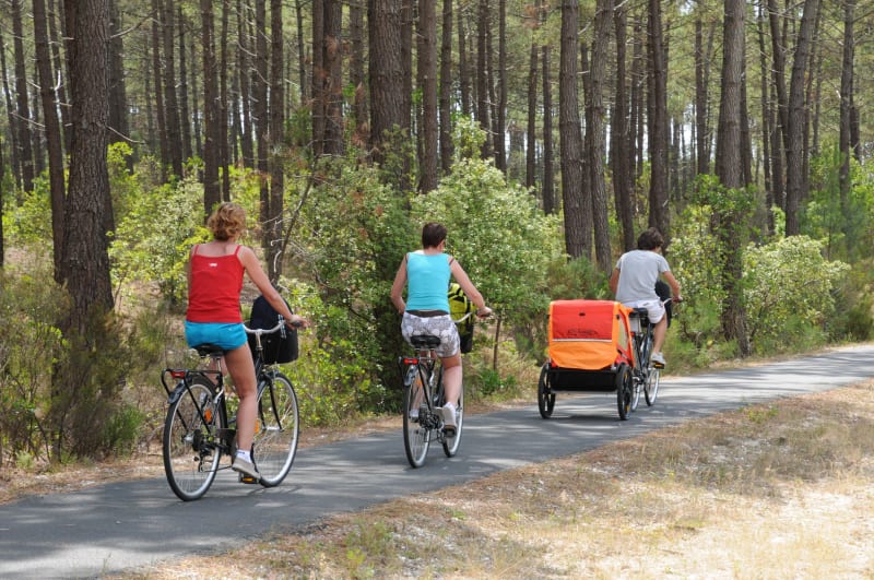 Montalivet-les-Bains, le VTC, les pins et l'océan - Montalivet-les-Bains