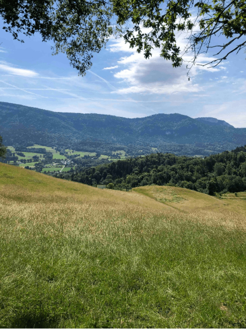 Tour des Charbonnières et nature autour d'Attignat-Oncin - Attignat-Oncin