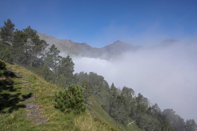 Petit bout du GR® 105 et bain de verdure à Frédencon - Saint-Lary-Soulan