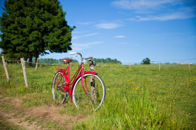 Chemins de pierres à vélo autour de Latour et son château - Samatan